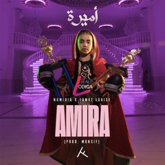 Numidia Feat Famke Louise - Amira ( LODIGA Drums Edit )