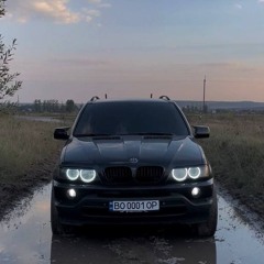 манго
