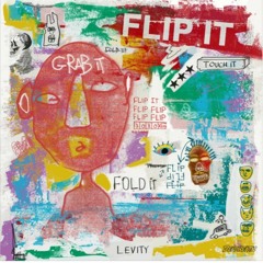 Levity - Flip It (Haymes Tarmino Bootleg) {FREE DOWNLOAD}