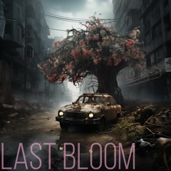 Last Bloom (naviarhaiku515)