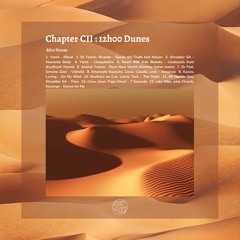 Chapter CII : 12h00 Dunes