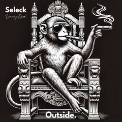 Seleck "Comming over" (Radio edit)