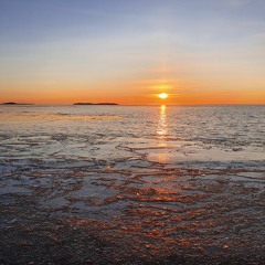 Kaamos