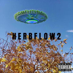 Herb Flow 2