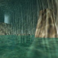 Blinkers in Zoras Domain