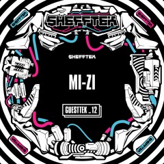 Shefftek Guesttek #12 - MI-ZI