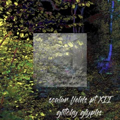 scalar fields pt 12: glitchy glyphs - with stonerjazz