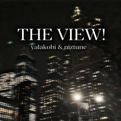 THE VIEW!