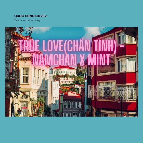TRUE LOVE (Chân tình) - Namchan x Mint(QUOC DUNG)