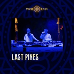 Last Pines - Microasis / 2024