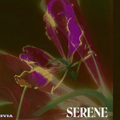 Sivia Azizah - Serene