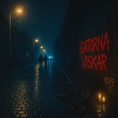 Gatorna Viskar