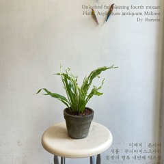 Unlooked for blessing fourth mixset by Runxia