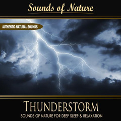 Thunderstorm (Nature Sounds)