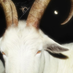 SOBEK - TI KABRIT (3100 REC)