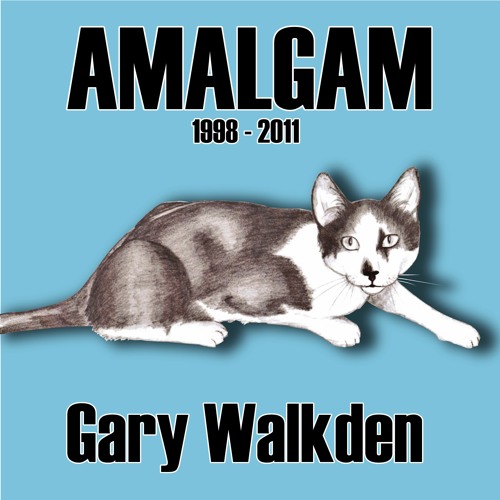 Amalgam (1998 - 2011)