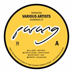 Snow Birds EP - Various Artists (PARANG006)