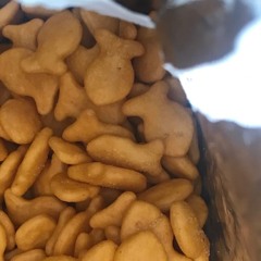 gold fish (jesseonmeth)