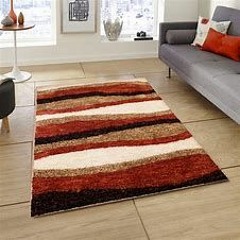 i shit on the living room carpet