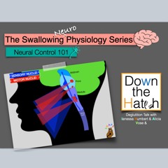 Swallowing Neural Control: 101