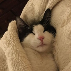 Nodding Off [ Tayoloxs ]