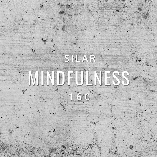 Mindfulness Episode 160