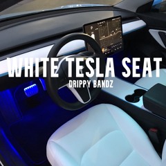 White Tesla Seat
