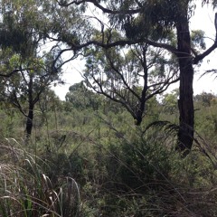 Defining Times We Live In - The Choices We Make In The Here And Now Will Reflect Into The Future