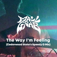 Mall Grab - The Way I'm Feeling (Cedarwood State's Speedy G Mix) [FREE DL]