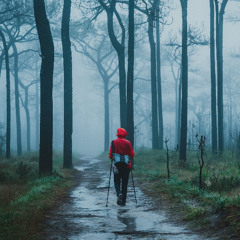 Luchsheye Sredstvo Ot Severnogo Vetra (Best North Wind Remedy), 120 BPM/WAV