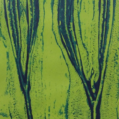 Running in the forest