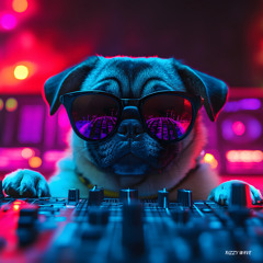 Splash Vibes