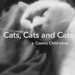 Cats, Cats and Cats Again (Cosmic Child)