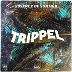 ESSENCE OF SUMMER (Neo-Soul, Baile Funk, Amapiano and Afrobeats Mixtape)