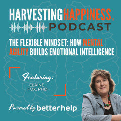 The Flexible Mindset: How Mental Agility Builds Emotional Intelligence with Elaine Fox, PhD
