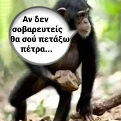 BABOUINOS raw unmixed