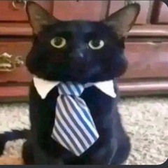 no me queria (cover)