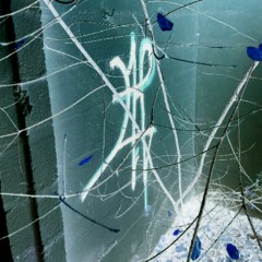 diamonds w/ PAPA WIT THE YOPPA (prod. malldidit)