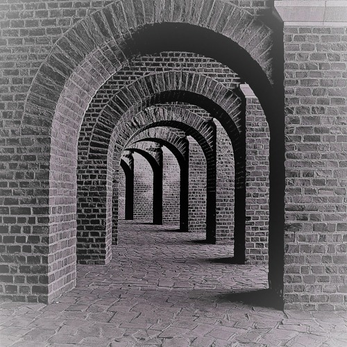 MLD No. 20 - Dubbing in the Vault