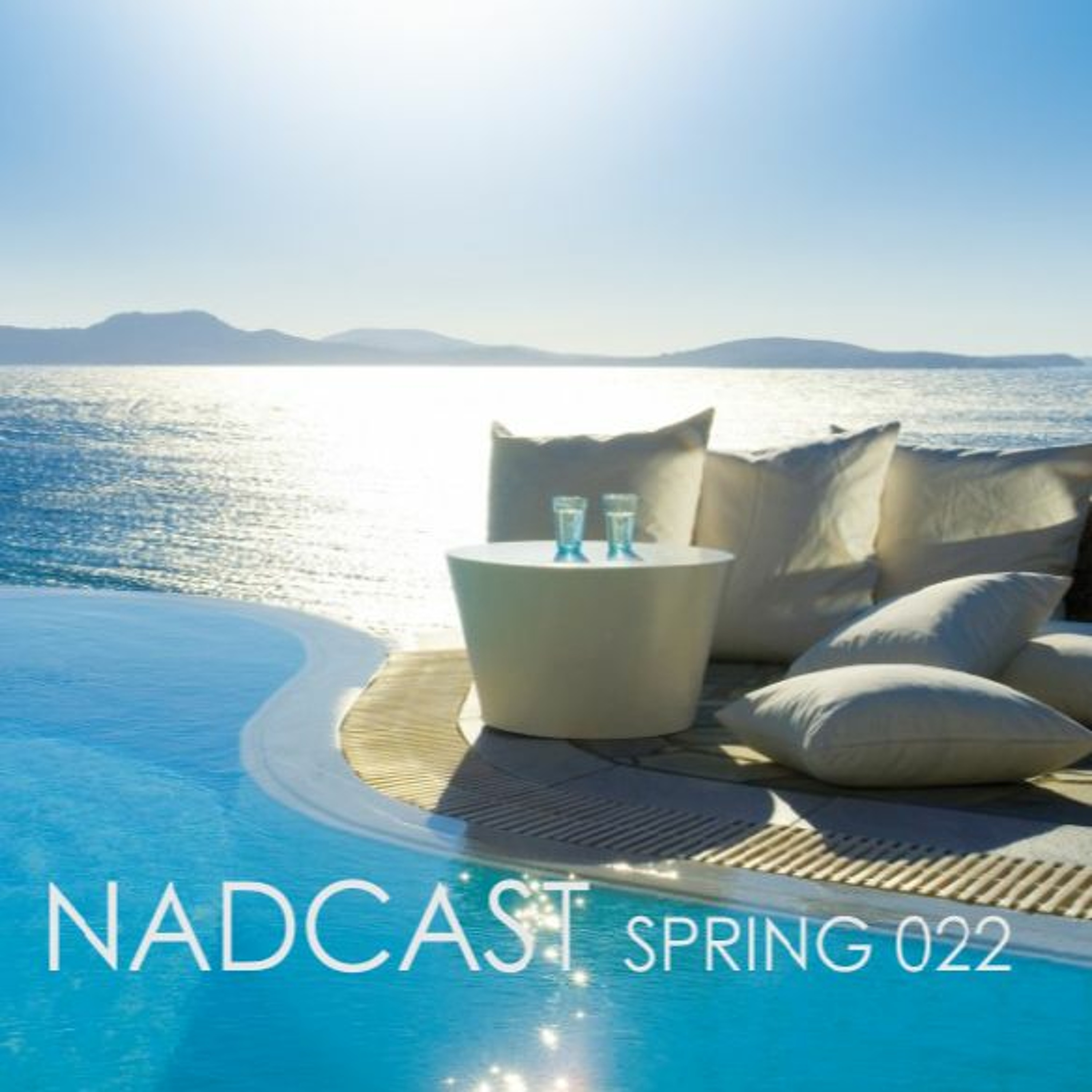 NADCast Spring 2022 episode artwork