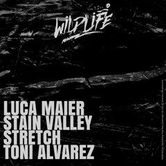 Stain Valley - Get Fucked Up (Original Mix))
