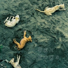 Sun Dogs