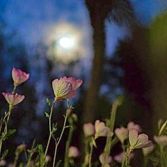 Only Exception •【歌ってみた】『First Take ver.』