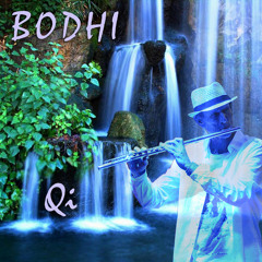 Qi - Qi Album - BODHI