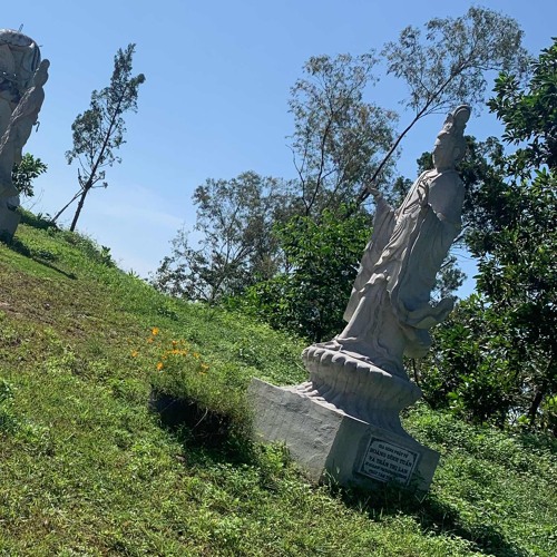 Nếu Hai Ta Ngược Lối