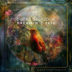 Björn Salvador - Dreamin' [Stellar Fountain]