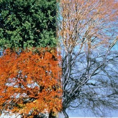 her nosering (archives) prod. (griiisha)