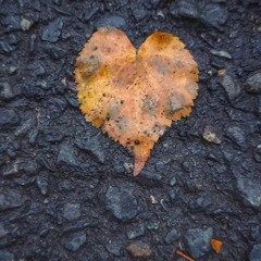 Comfortably Numb - Pink Floyd (cover)