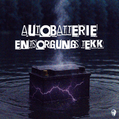 AUTOBATTERIE ENTSORGUNGS TEKK