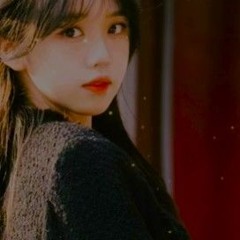 🌸 承桓, 魚兒七 - 借風到此間 {extended mix} // playback at 0.9X speed 🌸